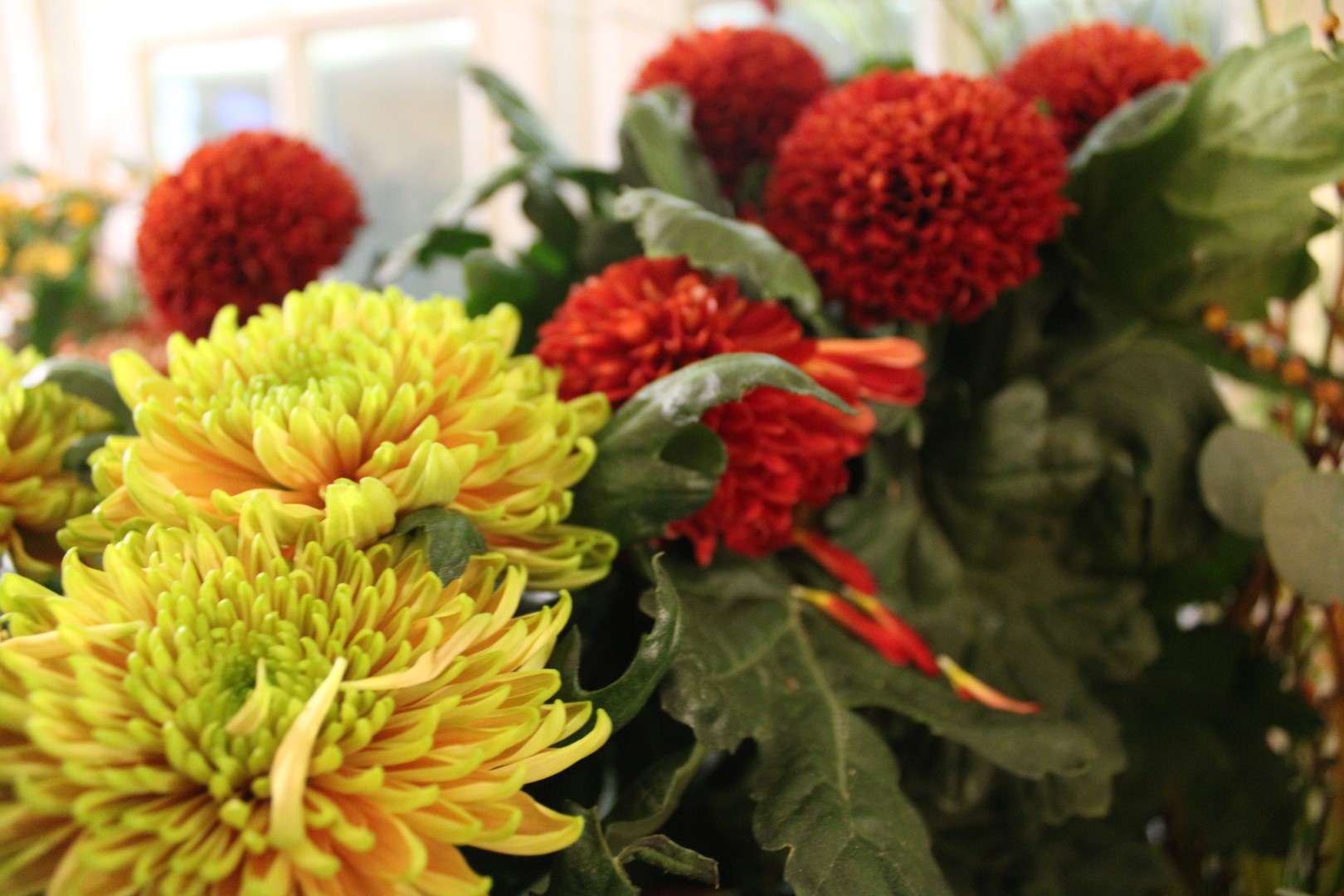Contacteer Bloemengoed voor bloemen op feesten en evenementen